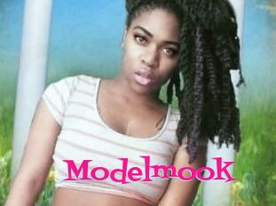 Modelmook