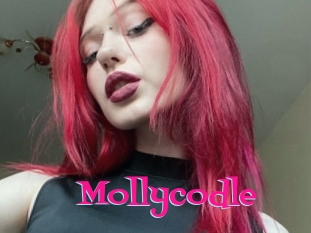 Mollycodle