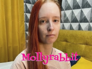 Mollyrabbit