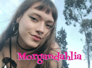 Morgandahlia