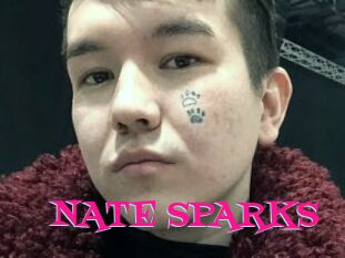 NATE_SPARKS