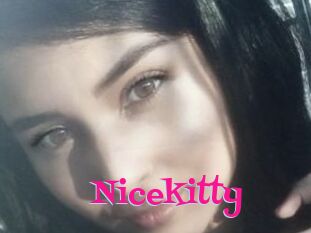 Nicekitty