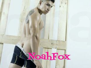 NoahFox