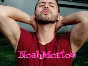 NoahMorton