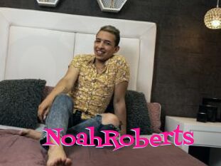 NoahRoberts