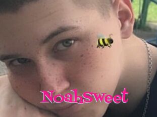 NoahSweet