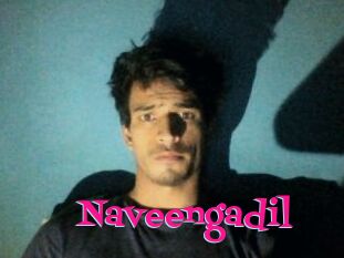 Naveengadil