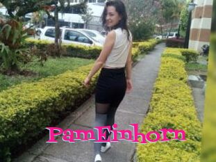 PamEinhorn