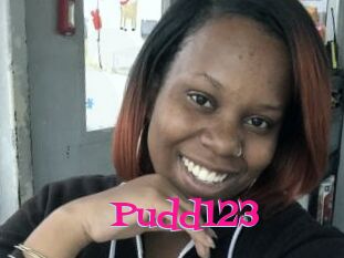 Pudd123