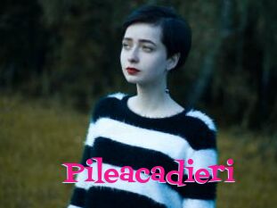 Pileacadieri