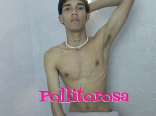 Pollitorosa