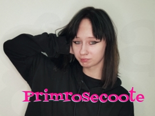 Primrosecoote