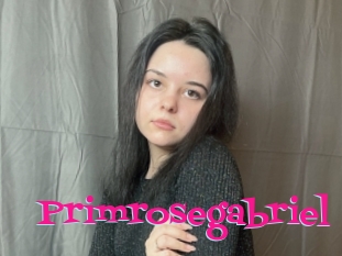 Primrosegabriel