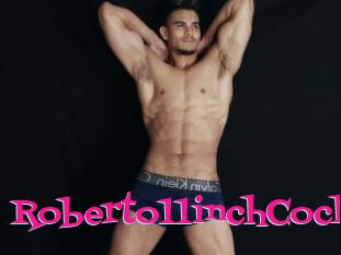 Roberto11inchCock