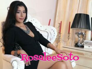 RosaleeSoto