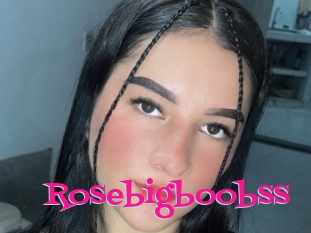 Rosebigboobss