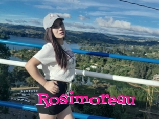 Rosimoreau