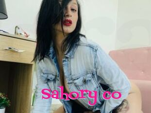 Sahory_co