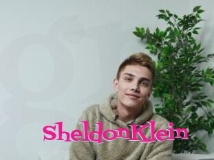 SheldonKlein