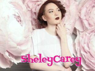 SheleyCarey