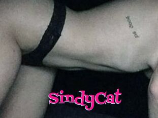 SindyCat