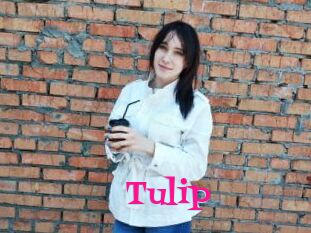 Tulip