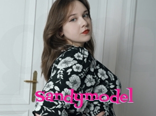 Sandymodel