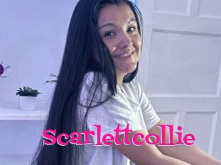 Scarlettcollie