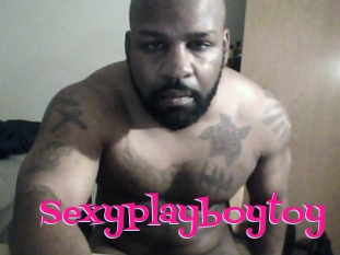 Sexyplayboytoy