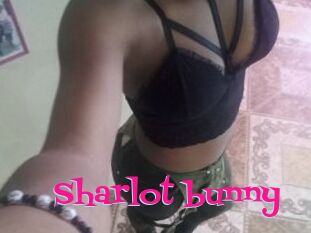 Sharlot_bunny