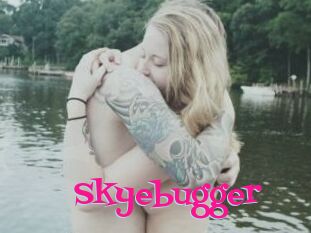 Skyebugger