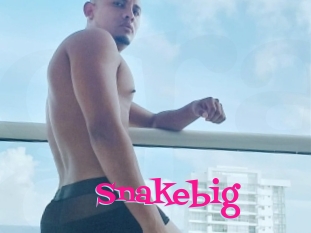 Snakebig