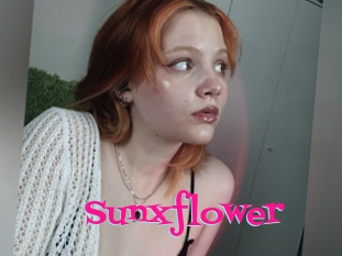 Sunxflower