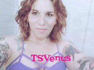 TS_Venus