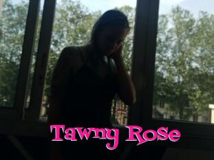 Tawny_Rose