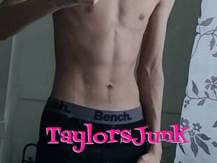 TaylorsJunk