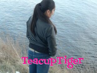 TeacupTiger