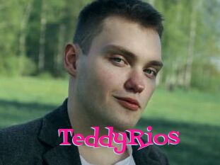 TeddyRios