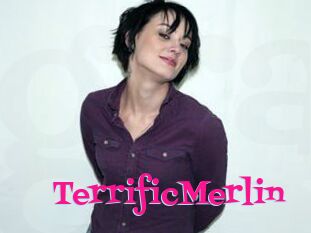 TerrificMerlin