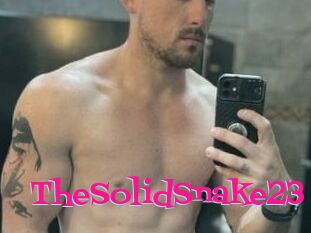 TheSolidSnake23