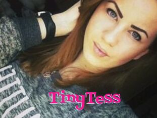 TinyTess