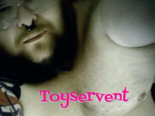 Toyservent