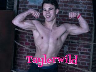 Taylerwild