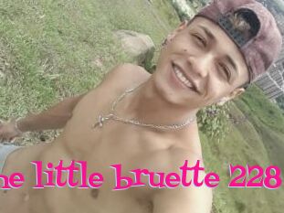 The_little_bruette_228