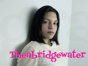 Theabridgewater