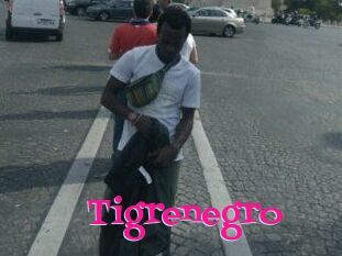 Tigrenegro