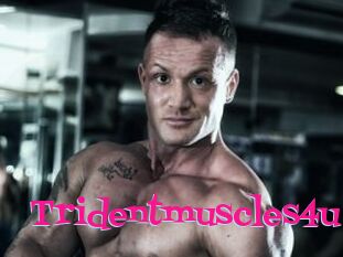 Tridentmuscles4u