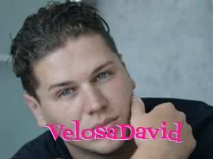 VelosaDavid