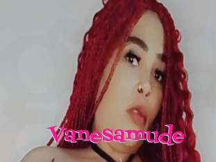 Vanesamude