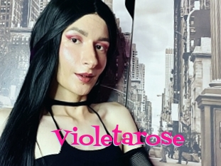 Violetarose